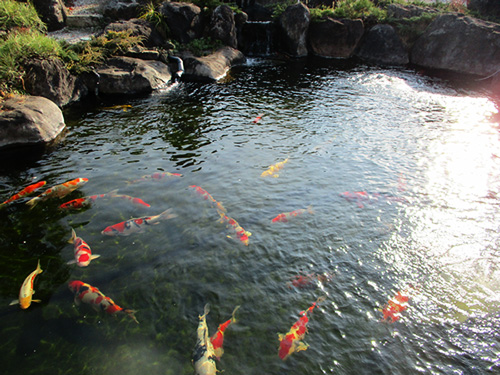 ろ過・浄化設備写真