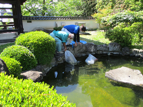 池メンテナンス写真