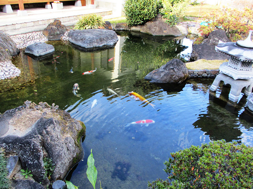 池メンテナンス写真