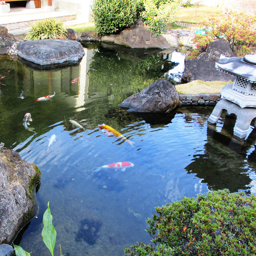 池メンテナンス写真