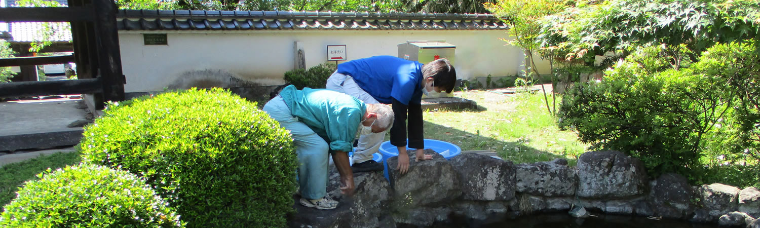 池メンテナンス