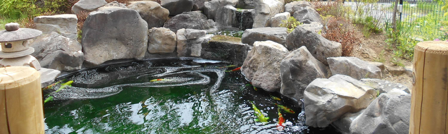 和風鯉池
