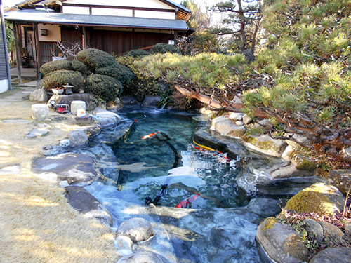 和風鯉池写真