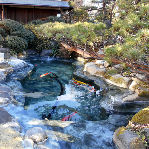 和風鯉池写真