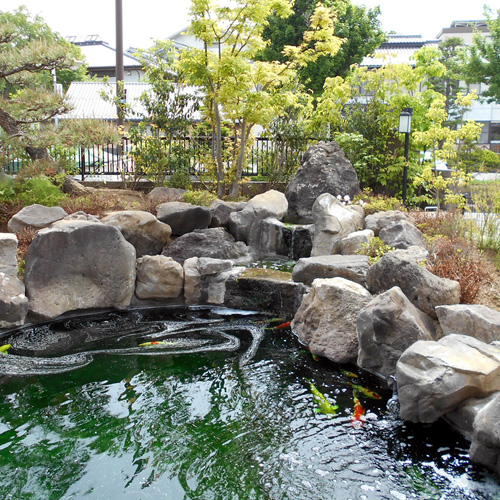 和風鯉池写真